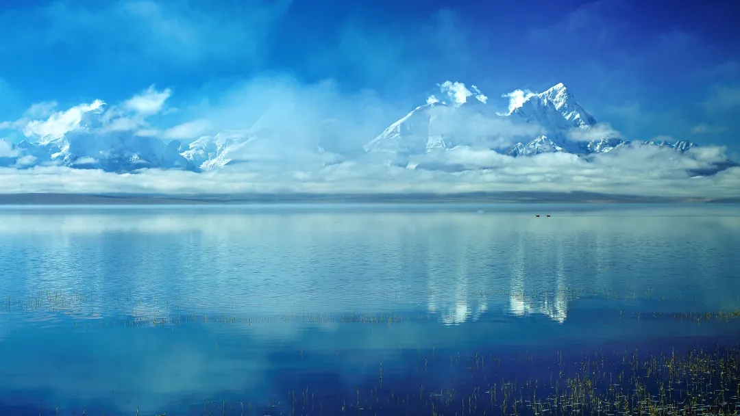 640.webp (11)