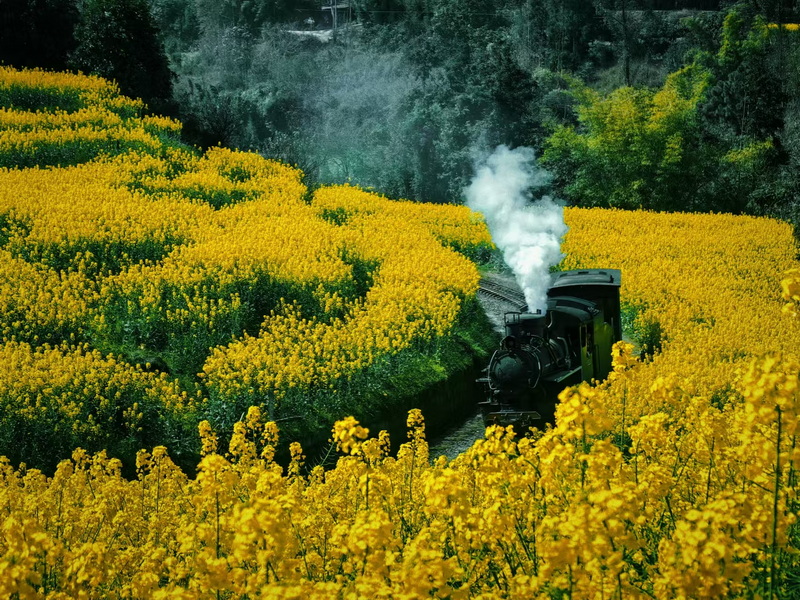 嘉陽(yáng)小火車