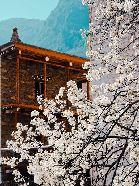 中路藏寨-7